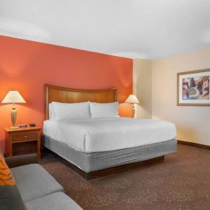 King bed with lounge area at Holiday Inn Express Chicago - Downers Grove.