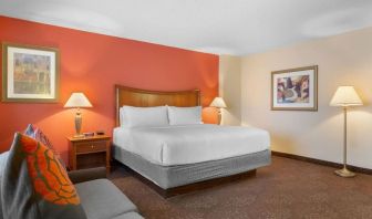 King bed with lounge area at Holiday Inn Express Chicago - Downers Grove.