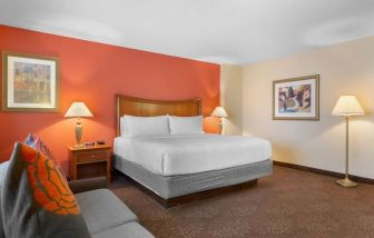 King bed with lounge area at Holiday Inn Express Chicago - Downers Grove.