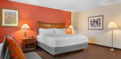 King bed with lounge area at Holiday Inn Express Chicago - Downers Grove.