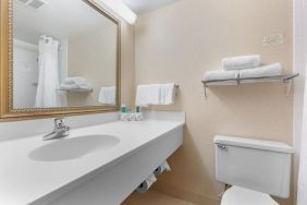 Guest bathroom with shower at Holiday Inn Express Chicago - Downers Grove.