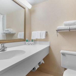 Guest bathroom with shower at Holiday Inn Express Chicago - Downers Grove.