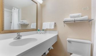 Guest bathroom with shower at Holiday Inn Express Chicago - Downers Grove.