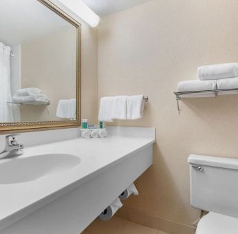 Guest bathroom with shower at Holiday Inn Express Chicago - Downers Grove.