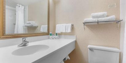 Guest bathroom with shower at Holiday Inn Express Chicago - Downers Grove.