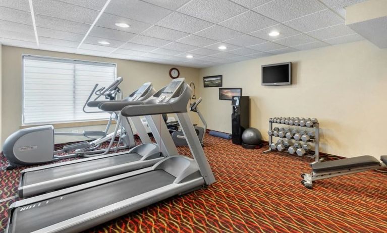 Fitness center available at Holiday Inn Express Chicago - Downers Grove.