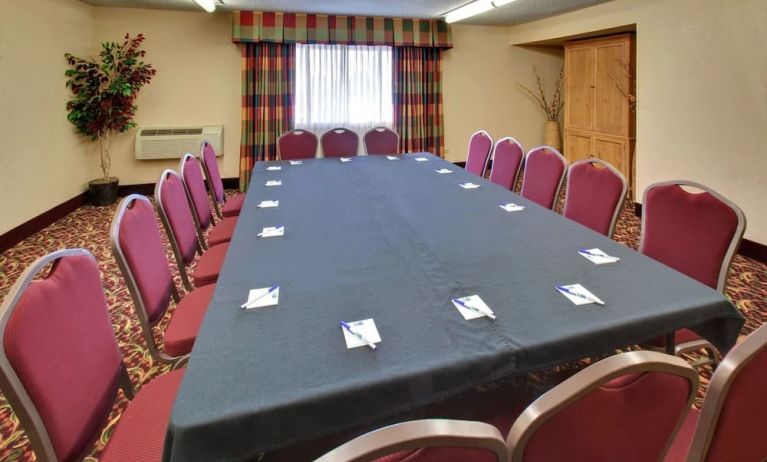 Professional meeting room at Holiday Inn Express Chicago - Downers Grove.