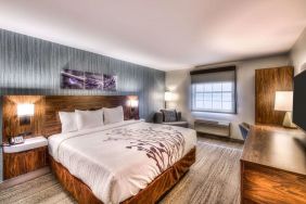 Delux king room with natural light at Sleep Inn Oakbrook Terrace.