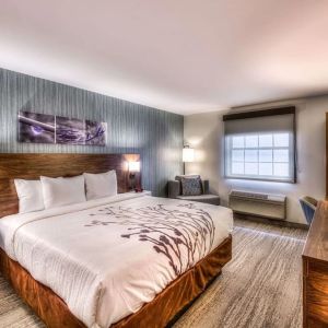 Delux king room with natural light at Sleep Inn Oakbrook Terrace.