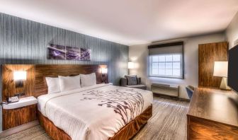 Delux king room with natural light at Sleep Inn Oakbrook Terrace.