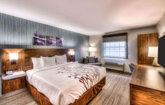 Delux king room with natural light at Sleep Inn Oakbrook Terrace.