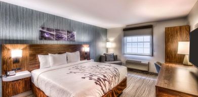 Delux king room with natural light at Sleep Inn Oakbrook Terrace.