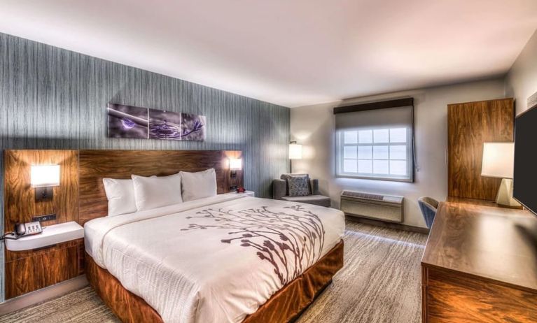 Delux king room with natural light at Sleep Inn Oakbrook Terrace.