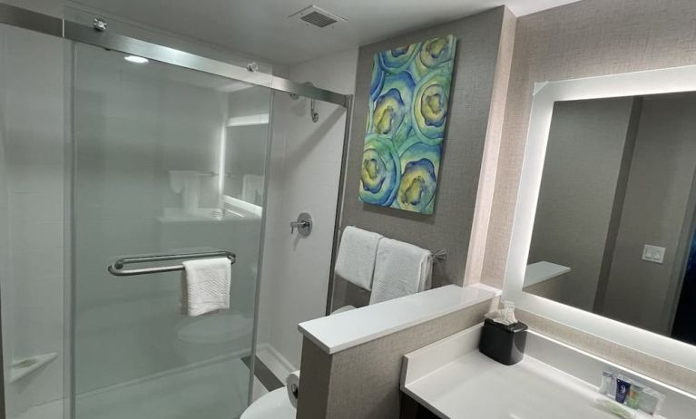 Private guest bathroom at MainStay Suites Oak Brook Terrace - Chicago.