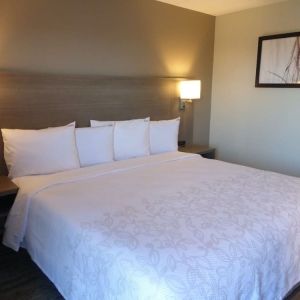 Cozy delux king room at Red Roof Plus Bourbonnais.