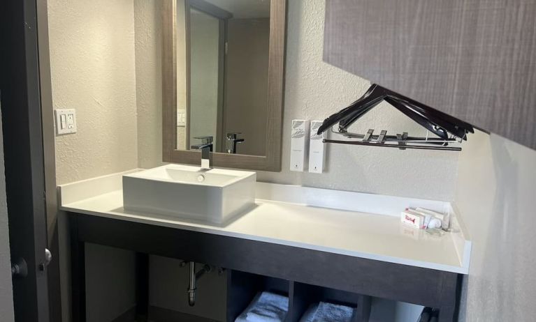 Private guest bathroom at Red Roof Plus Bourbonnais.