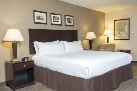 Romantic king room at Holiday Inn Aurora North- Naperville.