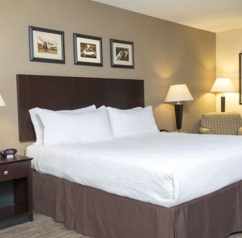 Romantic king room at Holiday Inn Aurora North- Naperville.