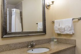 Private guest bathroom with shower at Holiday Inn Aurora North- Naperville.