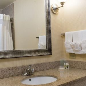 Private guest bathroom with shower at Holiday Inn Aurora North- Naperville.