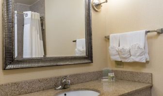 Private guest bathroom with shower at Holiday Inn Aurora North- Naperville.