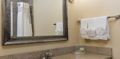 Private guest bathroom with shower at Holiday Inn Aurora North- Naperville.