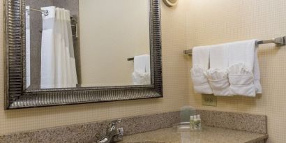 Private guest bathroom with shower at Holiday Inn Aurora North- Naperville.