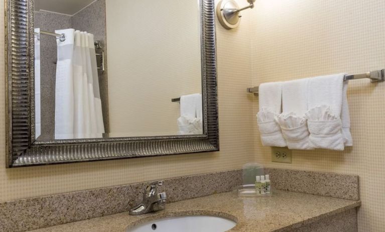 Private guest bathroom with shower at Holiday Inn Aurora North- Naperville.