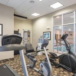 Fitness center with treadmills at Holiday Inn Aurora North- Naperville.