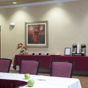 Professional meeting room at Holiday Inn Aurora North- Naperville.