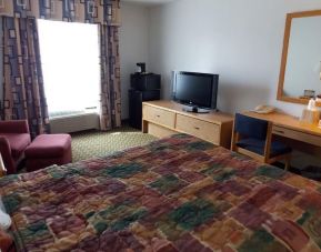 Delux king room with TV at Norwood Inn & Suites - Roseville.