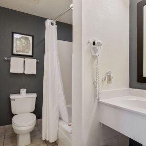 Private bathroom with shower at OYO Townhouse Orlando West.