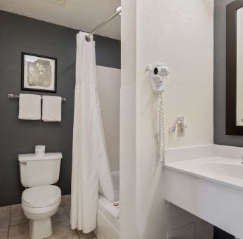 Private bathroom with shower at OYO Townhouse Orlando West.