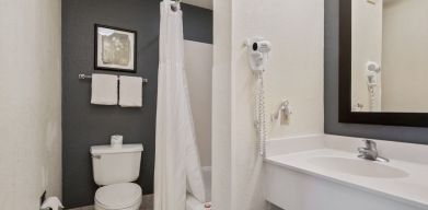 Private bathroom with shower at OYO Townhouse Orlando West.