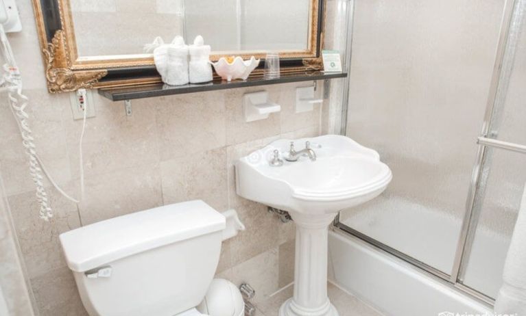 Guest bathroom with shower at Da Vinci Hotel.