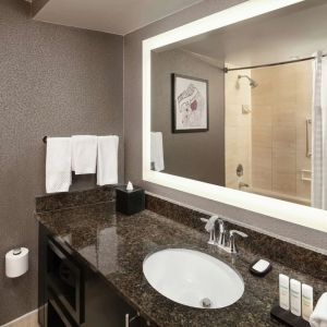 Guest bathroom with shower at Embassy Suites By Hilton, Crystal City National Airport.