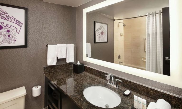 Guest bathroom with shower at Embassy Suites By Hilton, Crystal City National Airport.