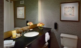 Guest bathroom in Royal Sonesta Houston Galleria, with lavatory, sink, and wide mirror.