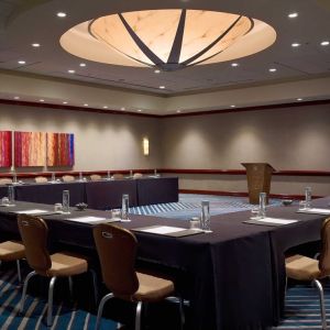 Hotel meeting room, with tables arranged in a U-shape facing a lectern, and seating for over a dozen attendees.