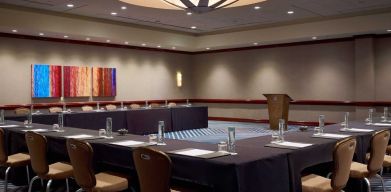 Hotel meeting room, with tables arranged in a U-shape facing a lectern, and seating for over a dozen attendees.