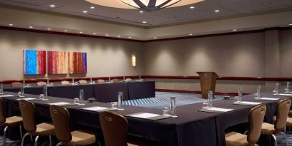 Hotel meeting room, with tables arranged in a U-shape facing a lectern, and seating for over a dozen attendees.