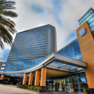 Royal Sonesta Houston Galleria’s parking area is by the hotel’s covered entranceway, which features plenty of potted plants.