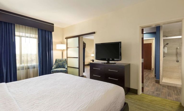 Hilton Garden Inn Houston NW/Willowbrook, Houston