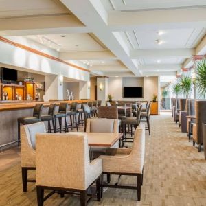 The hotel’s bar lounge features table seating, bar stools, multiple televisions, and potted plants.