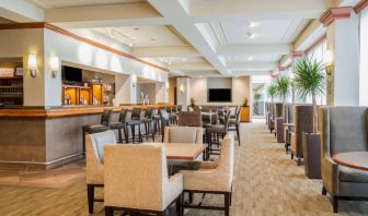 The hotel’s bar lounge features table seating, bar stools, multiple televisions, and potted plants.