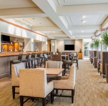 The hotel’s bar lounge features table seating, bar stools, multiple televisions, and potted plants.