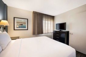 Sonesta Simply Suites Baltimore BWI Airport double bed guest room, featuring window, bedside lamp, and television.