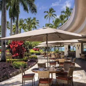 The hotel’s terrace includes dining under shaded cover, with the pool and towering trees nearby.