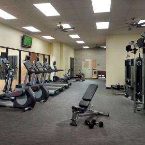 The hotel fitness center has an assortment of exercise machines, plus free weights and benches, and a wall-mounted TV.