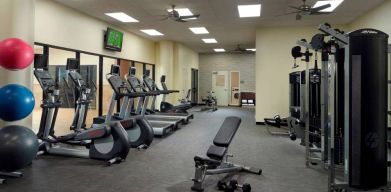 The hotel fitness center has an assortment of exercise machines, plus free weights and benches, and a wall-mounted TV.